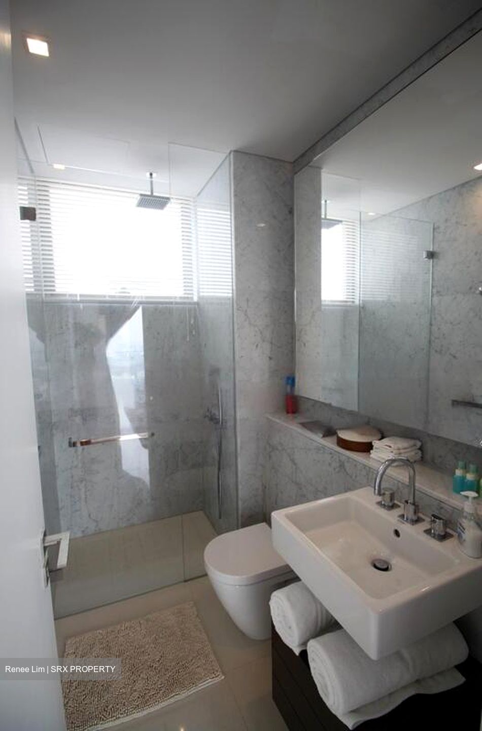 Scotts Square (D9), Apartment #480341191
